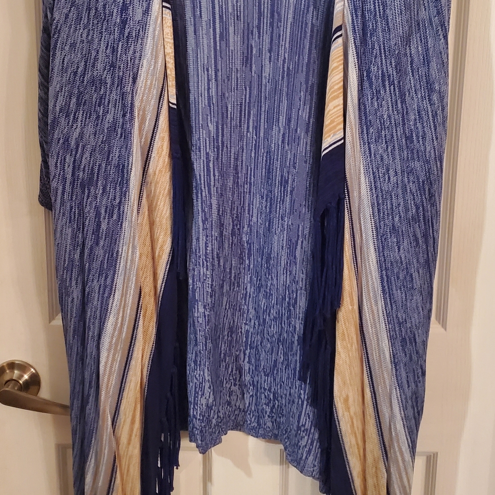 Ruby Rd. Blue and Tan Cardigan